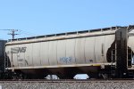 NS 296662